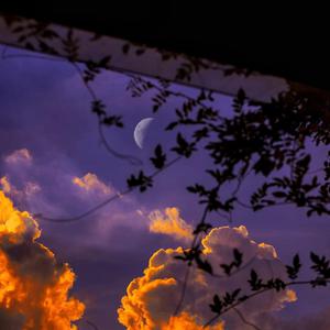 找老阿姨来泻火
