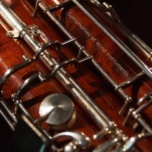 找老阿姨来泻火
